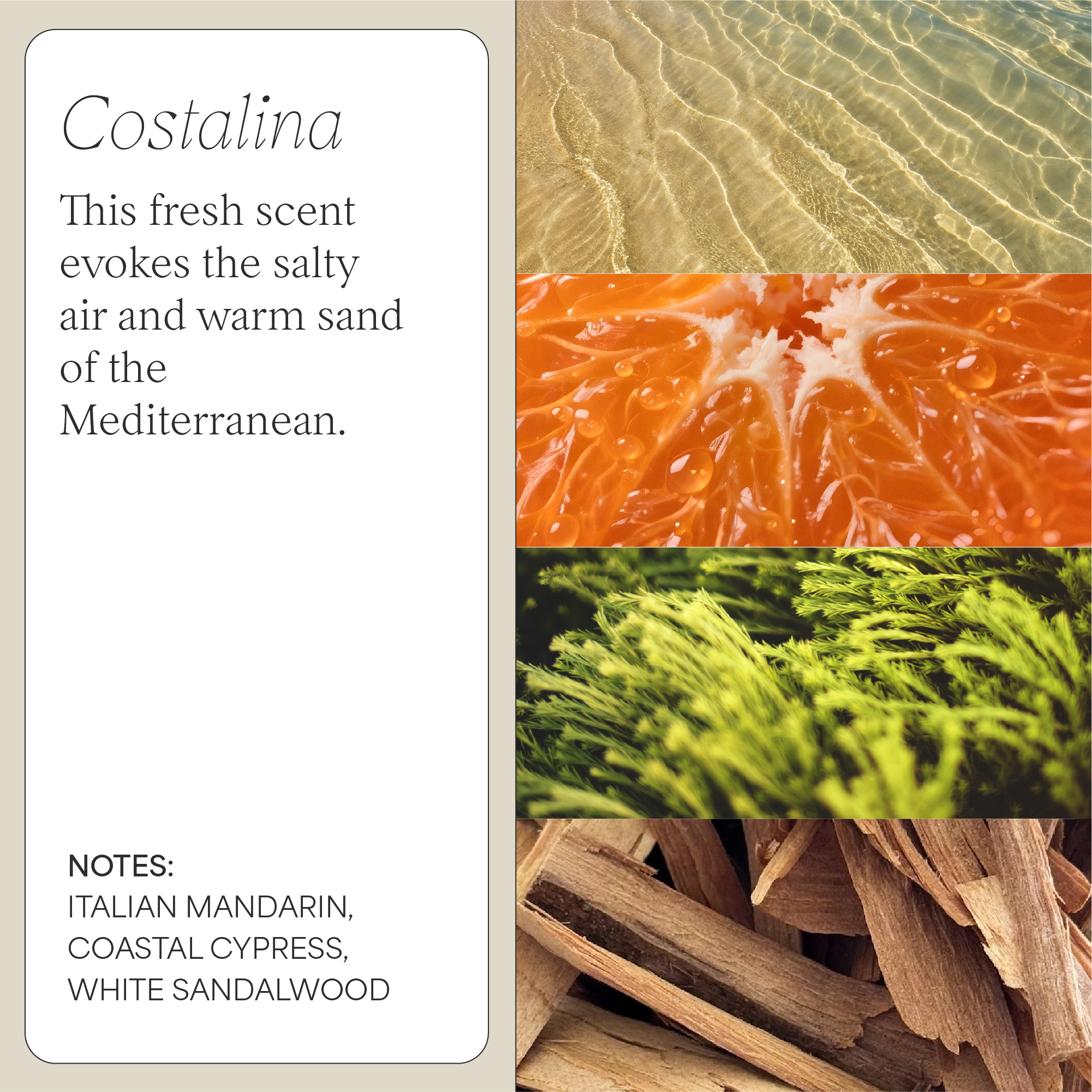 Tricoci Leave-In Conditioner